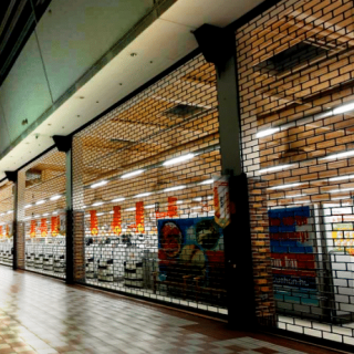 Grilaje metalice si rulouri Grilaje metalice si rulouri